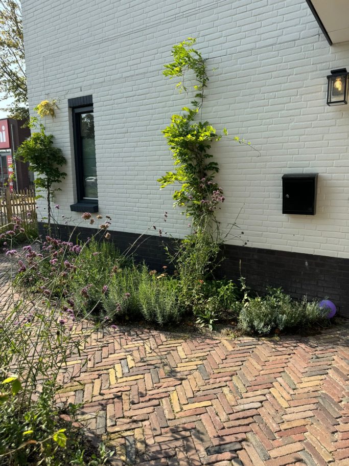 Foto - zijkant huis